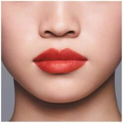 Shiseido LipLiner InkDuo - 05 Geranium 9 Shiseido LipLiner InkDuo - 05 Geranium -Clinique Salgsbutik shiseido lipliner inkduo 05 geranium 1591170275